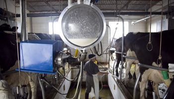 Cae la producción de leche en los primeros días de 2022