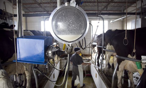 Cae la producción de leche en los primeros días de 2022