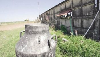 Por la crisis lechera, en Córdoba y Santa Fe dejan de circular 1.000 millones mensuales