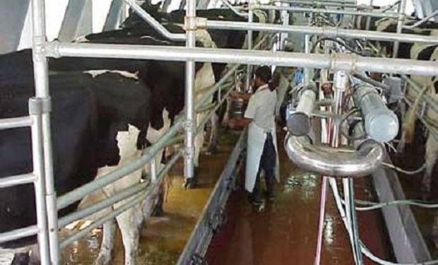 El Gobierno frenó la exportación de leche