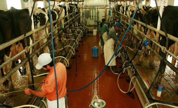 El precio de la leche al productor es el más bajo del mercado global y en un año cayó un 13 %