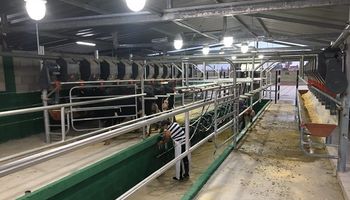 La lechería sufrió una merma en la rentabilidad con respecto a 2017