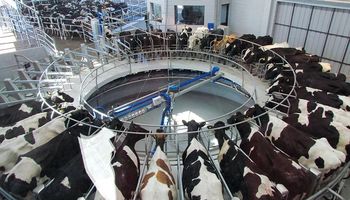 Estiman que las exportaciones lácteas crecerán 25 por ciento en 2018