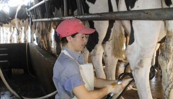 Tambos en alerta por la vuelta de las lluvias