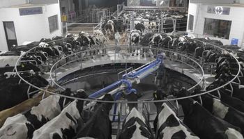 Tambo: hacia dónde van los modelos de producción de leche