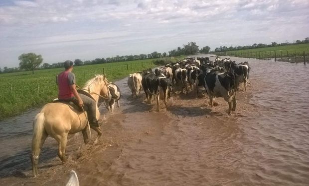 Una situación compleja.