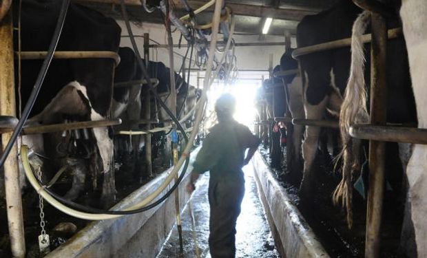 Producción láctea tuvo en 2016 la peor caída en 46 años.