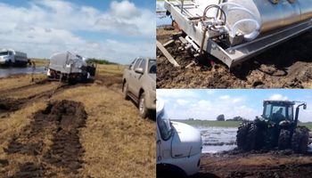 Video: sacar leche de los tambos sigue siendo una odisea