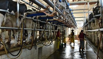 Santa Fe: un millón de pesos para productores lácteos