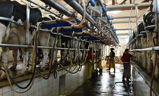 Créditos por un millón de pesos a productores lácteos.