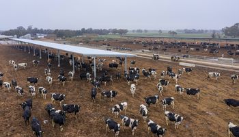 Los tambos de Argentina, ¿igual que los establecimientos de Estados Unidos y Canadá en 1960? Expertos repasan lo que viene en tendencia para la producción de leche
