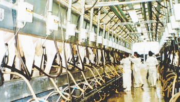 Tamberos de Federación Agraria Argentina preparan paro