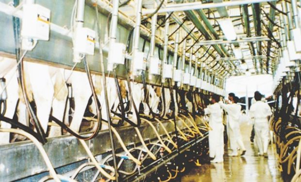 Se pidió que se mantenga la compensación de 30 centavos por litro, por los primeros 2900 litros de tamberos de hasta 6000 litros diarios, mientras "la industria no pague el precio justo".