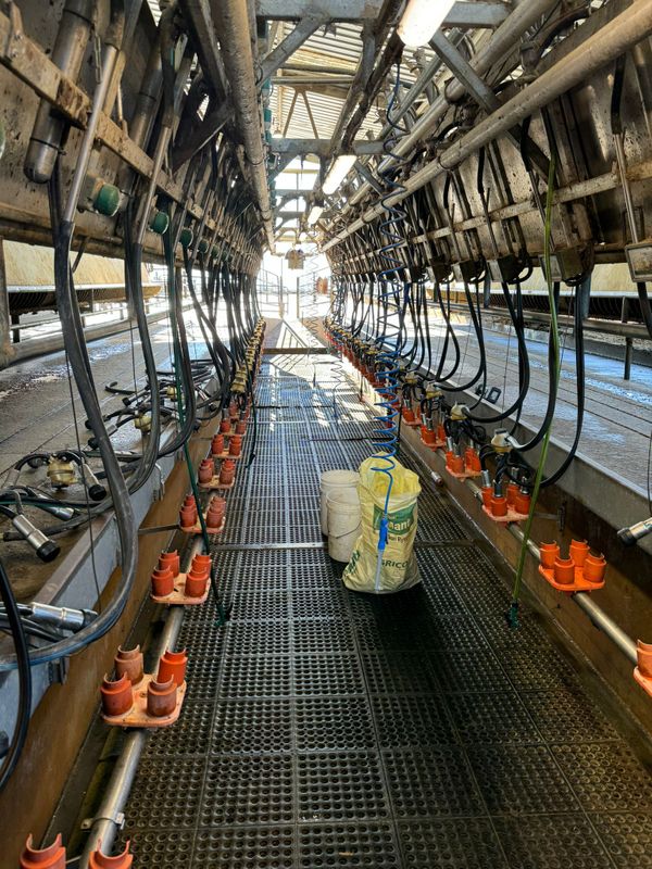 tambo en el exterior