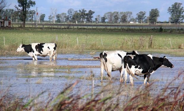 Los productores estiman que en el sur provincial hay alrededor de un millón de hectáreas afectadas por el agua.