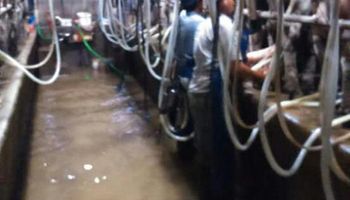 El agua golpea el corazón de la cuenca lechera de Córdoba