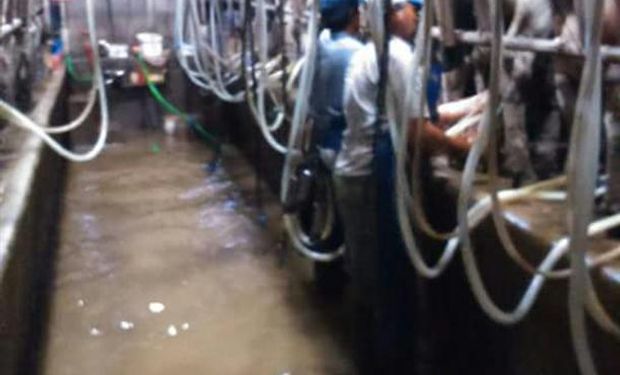 Tambo inundado. Foto: La Nación