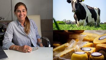 Transformó el tambo familiar y ya produce 6000 litros de leche al día: qué estrategia adoptaron frente a los números "finos" del negocio tras un año soñado