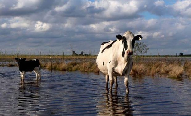 USDA proyecta estancamiento de la producción para 2017.