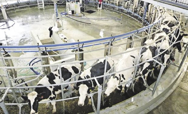 El origen de la contaminación microbiana de la leche puede provenir tanto de la ubre como del medio ambiente y del equipo de ordeñe.