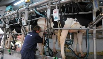 Santa Fe: consignataria de leche será una realidad a inicios de octubre