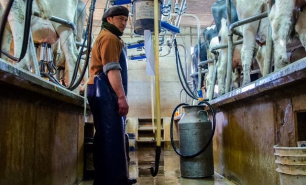 Precios al productor de leche en el mundo: Argentina cerró el 2020 con una caída del 9,7% en dólares respecto al 2019
