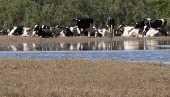 Tambos: siete consejos en épocas de inundaciones
