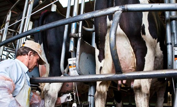El Ministerio de Agroindustria decidió que los recibirá ese mismo.