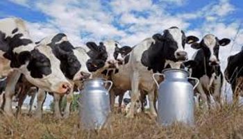 Los tambos que se cierran no vuelven a abrir
