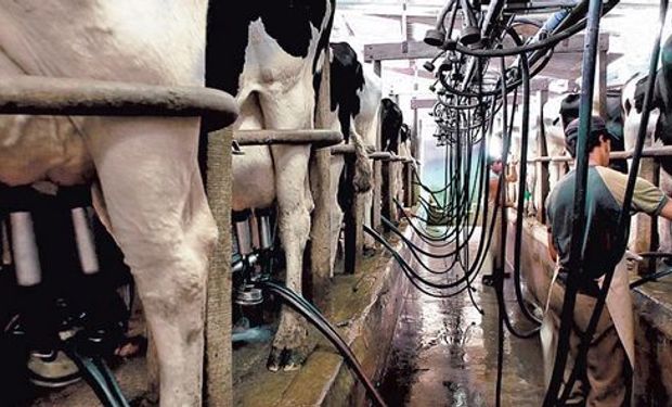 Cada contrato futuro será equivalente a 5000 litros de leche.