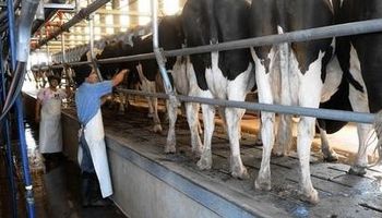 Tamberos bajaron los costos pero los números todavía siguen "en rojo"