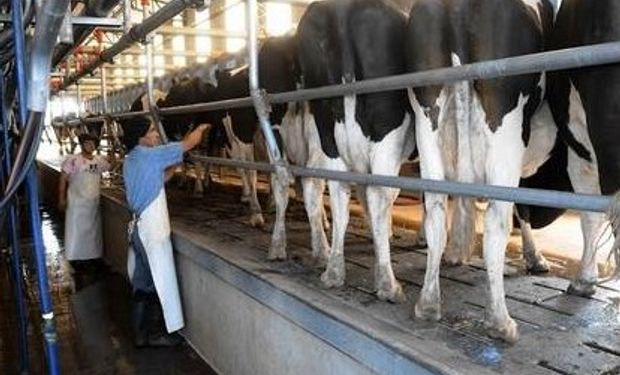 El precio de la leche cruda oscila en los $ 2,50, casi un peso menos que hace seis meses, recuerdan los tamberos.