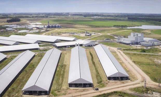 Así funciona el megatambo de Bulgheroni que Lacalle Pou visitó en Uruguay