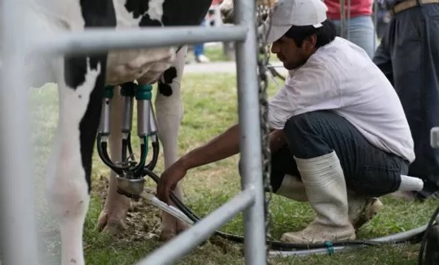 Desaparecieron 400 tambos: denuncian una situación crítica y piden soluciones para los productores