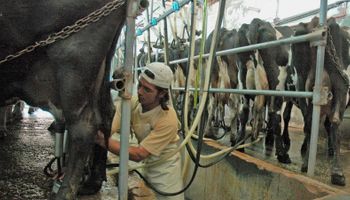 Ya hay más de 3300 tambos en el nuevo sistema para la cadena láctea