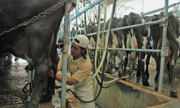 Impulsan beneficios para el sector.
