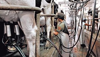 Crece el valor relativo de la leche