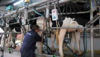 Uruguay: crisis de la lechería repercute en una caída de las ventas de forrajes