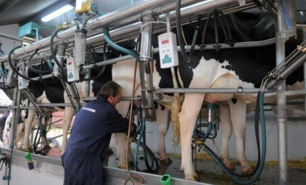 Se prevé que este año se pondrá mayor énfasis en los verdeos en la parte alimenticia de los tambos.