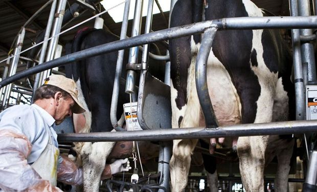 Afirman que es clave que el precio de la tonelada de leche en polvo ronde los US$3500 y aumente el consumo interno.