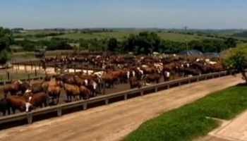 Ator da Globo se afasta das novelas para assumir as fazendas da família