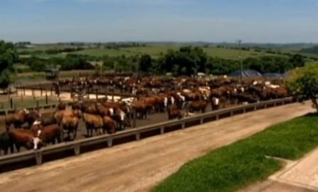 Ator da Globo se afasta das novelas para assumir as fazendas da família