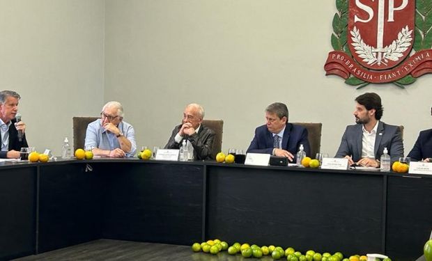 A cultura da laranja é 11ª cadeia mais valiosa da agropecuária nacional, com VBP na casa de R$ 19,3 bilhões em 2023. (foto Governo de SP)