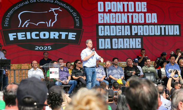 Governo de SP lança fundo para proteger pecuaristas em crise