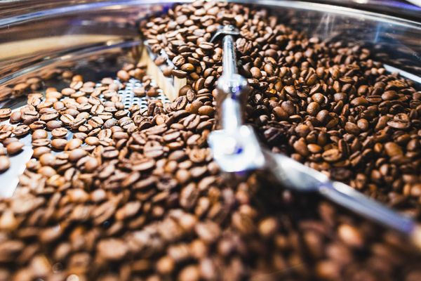 tarifas-eua_reacao-do-agro_cafe-carne-frutas_2025