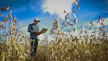 Governo sanciona política de incentivo ao agro de precisão
