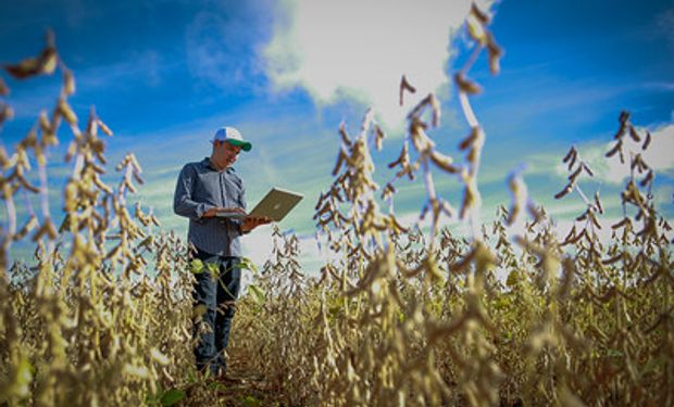 Câmara Temática de Inovação Agrodigital será responsável pela articulação dos desdobramentos da nova lei. (foto - Sistema CNA/Senar)