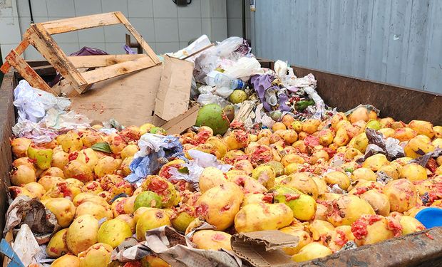 O modelo permite aproveitar integralmente frutas e hortaliças impróprias para o consumo humano, resultado das perdas durante o transporte e armazenamento