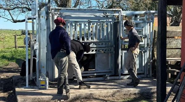 tecnologia de pesaje en el campo