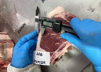 Tecnologia define "impressão digital" da carne gaúcha